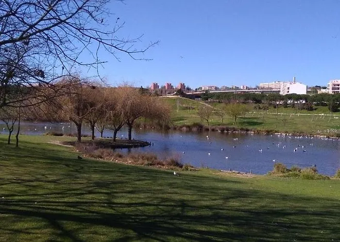 Appartement Mchouse Prime Almada